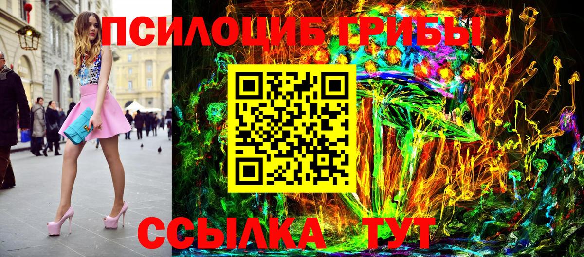 Волжский  Галлюциногенные грибы Psilocybine cubensis  Вход с VPN 