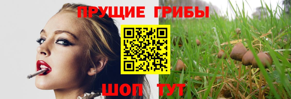 Псилоцибиновые грибы ЛСД Волжский